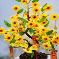 Cây hoa mai giả cao 50 cm