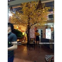 Cây hoa mai giả trang trí quán lẩu