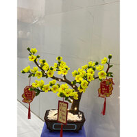 cây hoa mai kẽm nhung kèm đèn và lộc