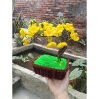CÂY HOA MAI VÀNG KẼM NHUNG ĐỂ BÀN, TRANG TRÍ TẾT, LÀM QUÀ TẶNG
