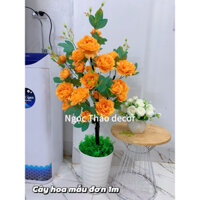 cây hoa mẫu đơn giả cao 1m