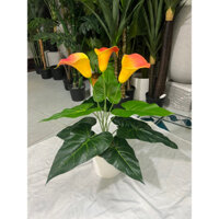 Cây hoa rum giả 45cm