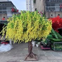 Cây hoa tử đằng giả