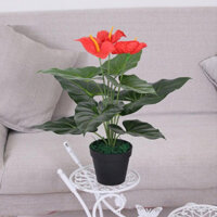Cây Hồng Môn Giả Chất Nhựa PVC Để Bàn Làm Việc, Trang Trí Không Gian Văn Phòng - Kích Thước 40cm(Kèm chậu)