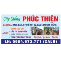 cây kiểng các loại cây trồng