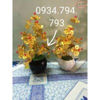 CÂY KIM TIỀN TRANG TRÍ Ô TÔ MẪU HOA ĐỒNG TIỀN VÀNG