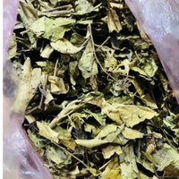 Cây Lá Lạch Sống khô chữa đau lưng(cây thuốc dân gian)