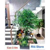 Cây lá si, cây xanh giả 2m trang trí phòng khách, văn phòng làm việc, quán ăn, quán cà phê