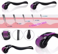 Cây lăn đầu kim trị mụn sẹo, rổ