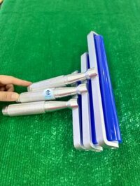 Cây Lan Keo Xịn Đủ Kích Thước