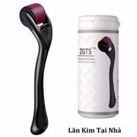 Cây lăn kim tay ZGTS 540 đầu kim – Mỹ