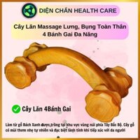 Cây Lăn Massage Toàn Thân 4 Bánh Gai Đa Năng Gỗ Tự Nhiên Thiết Bị Diện Chẩn