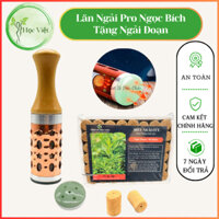Cây Lăn Ngải Ngọc Bích Có Gai - Massage Mặt, Cứu Ngải, Thư Gian, Xông Hơi, Thải Độc - Dụng Cụ Diện Chẩn