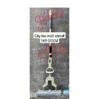Cây lau nhà mút xám