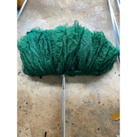 cây lau vải mùng mảnh to màu rêu loại đại