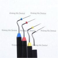 CÂY LÈN BUCHAN  Nha khoa chỉnh nha niềng răng -LC01