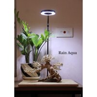 cây lũa bonsai dài 23cm, cao18cm (tặng kèm 1 tuýp keo dán cây)