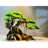 Cây lũa bonsai ghép lá nhựa giả trang trí hồ bể cá