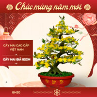 Cây mai bonsai cao cấp thân nhựa sản xuất tại Việt Nam