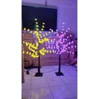 CÂY MAI, CÂY ĐÀO VẢI TRANG TRÍ TẾT CAO 1M2