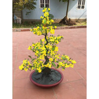 cây mai đào 90cm trang trí,decor