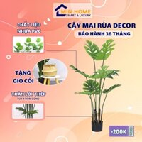 Cây Mai Rùa Cây Cảnh Giả Decor Trang Trì Nhà Cửa MINHOUSE Cây Cảnh Trang Trí,Giống Như Thật Siêu Bền Theo Thời Gian