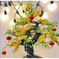 Cây mai/đào chưng tết bằng len