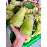 cây mận xanh tam qua quả rất to ngọt