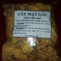 Cây mật gấu