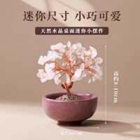 Cây may mắn tự nhiên Ngôi nhà may mắn Cornucopia Trang sức Mở máy tính để bàn Quà tặng Đồ trang trí Văn phòng Phòng khách #HS0120#