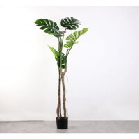 Cây Monstera nhiệt đới | Cây giả đẹp như thật | Xu Hướng Thiết Kế