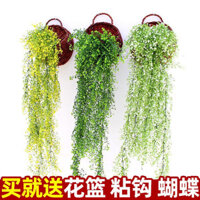Cây nhân tạo dây leo hoa giả dây leo Chlorophytum Goldenrod treo tường trang trí tường phòng khách ống điều hòa cây xanh trong nhà 0Dd1