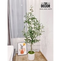 Cây oliu giả cao 1m2 - cây giả cao cấp decor trang trí nhà cửa