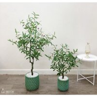 Cây oliu giả - Cây giả trang trí nhà đẹp, trang trí nội thất phòng khách, phòng ngủ đẹp tự nhiên giống hệt cây thật