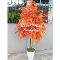 Cây phong lá đỏ, lá cam cao 1,6m trang trí nhà cửa, nhà hàng khách sạn derco siêu đẹp - HÀNG THIẾT KẾ