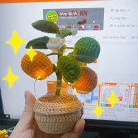 Cây Quất Mini Để Bàn Tết 2024 - Siêu Đáng Yêu - Handmade