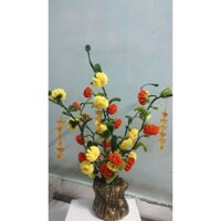 cây quất ngày tết