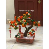 Cây quất nhung kẽm