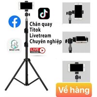 Cây QUAY 1.6M live tik tok livestream chân đứng bi cầu q29 kẹp điện thoại HẠ THẤP ĐƯỢC XUỐNG 60CM