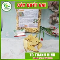 Cây Quýt Gai 1Kg Loại 1 - Hàng Công TY