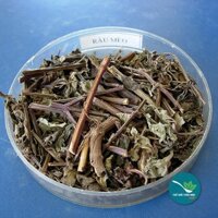 Cây râu mèo 1Kg -TM015