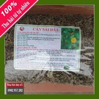 Cây Sài Đất khô 1KG -TDSO1