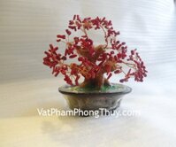Cây san hô đỏ nhỏ CA223