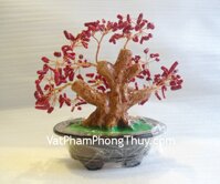 Cây san hô đỏ nhỏ CA223