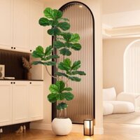 Cây sung lá xanh, cây xanh trong nhà, trang trí phòng khách, phòng ngủ, cây lớn trong chậu, phong cách hiện đại, cây nhâ