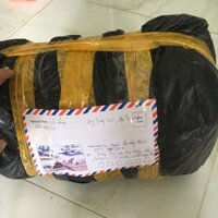 Cây sương sáo làm thạch đen đặc sản cao bằng