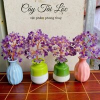 CÂY TÀI LỘC BÌNH GỐM SỨ 10CM