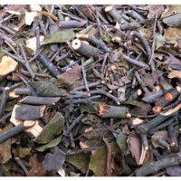 CÂY TẦM GỬI CÂY GẠO TÍA Loại 1 Giúp Hạ Đường Huyết, Tiểu Đường, Xương Khớp