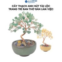 Cây Thạch Anh Hút Phong Thủy Để Bàn Làm Việc Tài Lộc Vận Khí Tốt Năng Lượng Tích Cực May Mắn Hút Tài Lộc