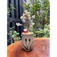 CÂY THẠCH ANH PHONG THUỶ MẠNG THỔ🌼